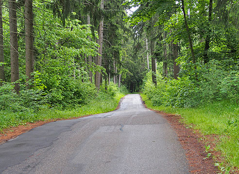 Waldetappe nach Bonndorf