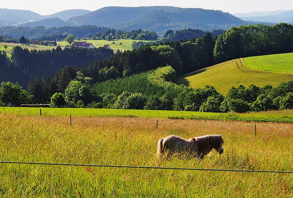 Ausblick auf den Schwarzwald