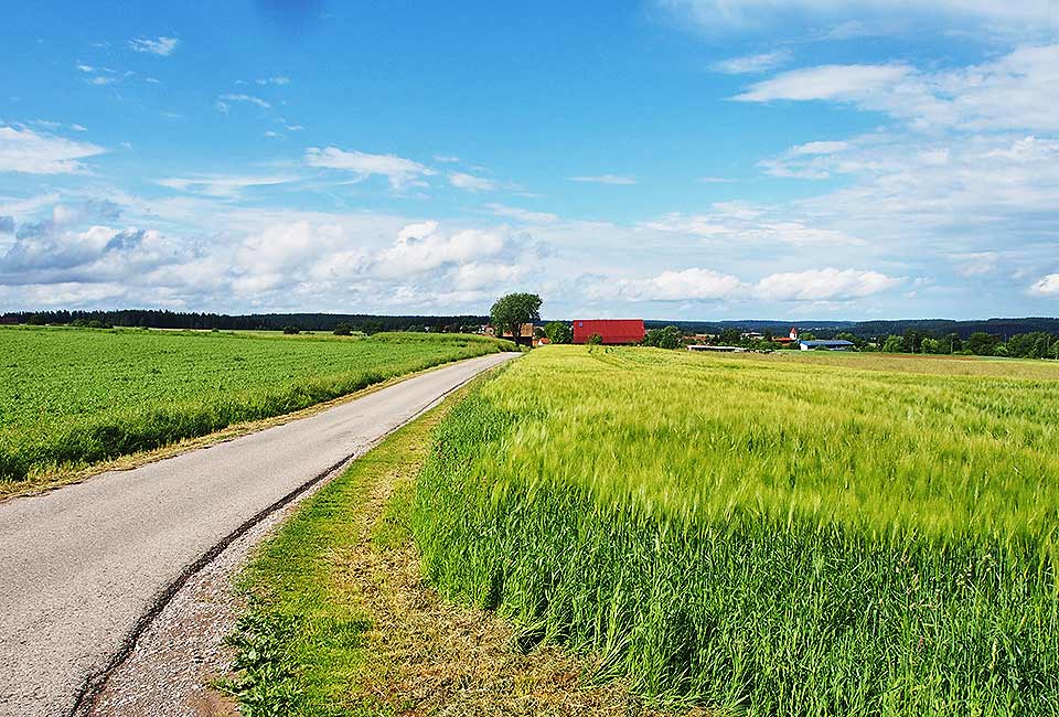 Auf der Hochebene Auf der Hochebene