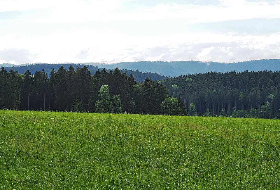 Blick ins Kinzigtal