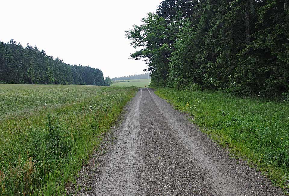 Radweg im Wald nach Loßburg
