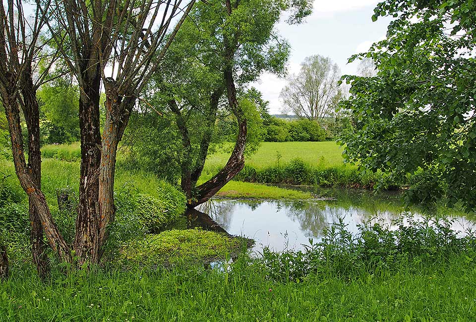 Blick auf die Brigach