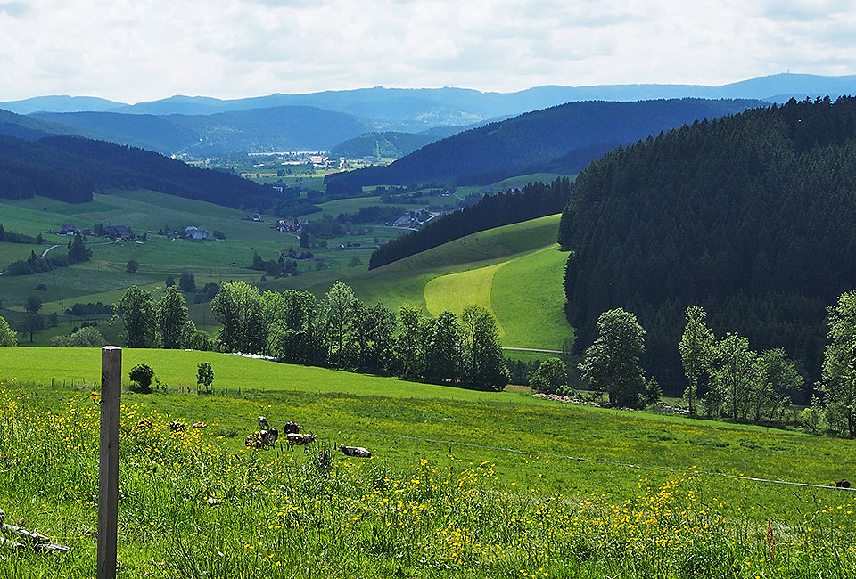 Blick ins Tal