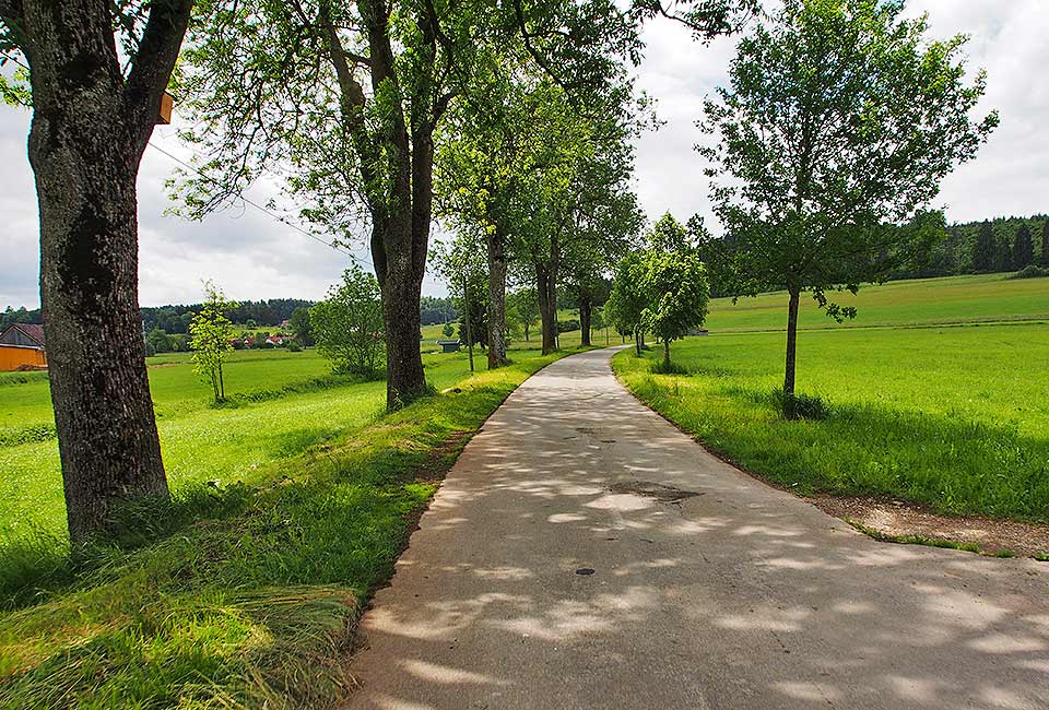 Radweg nach Bräunlingen