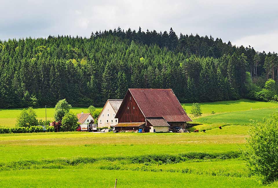 Schwarzwaldausläufer