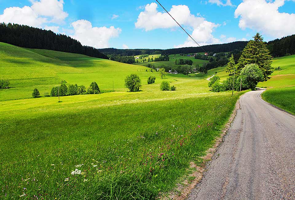 Talfahrt zum Titisee