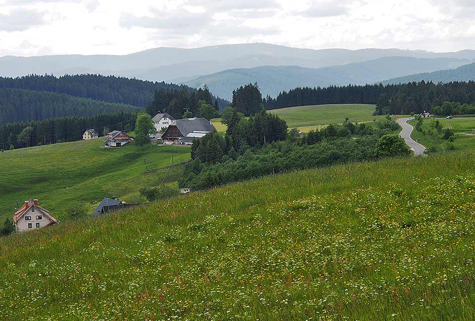 Blick auf die umliegenden Berge