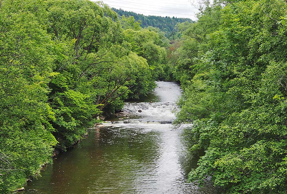 Entlang der Wutach