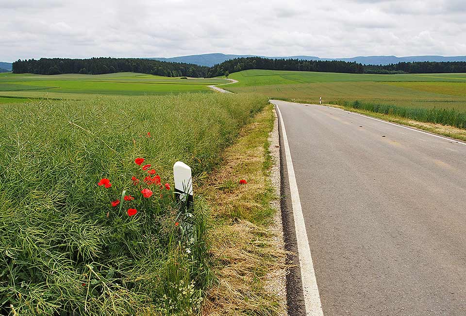 Auf der Hügelkuppe