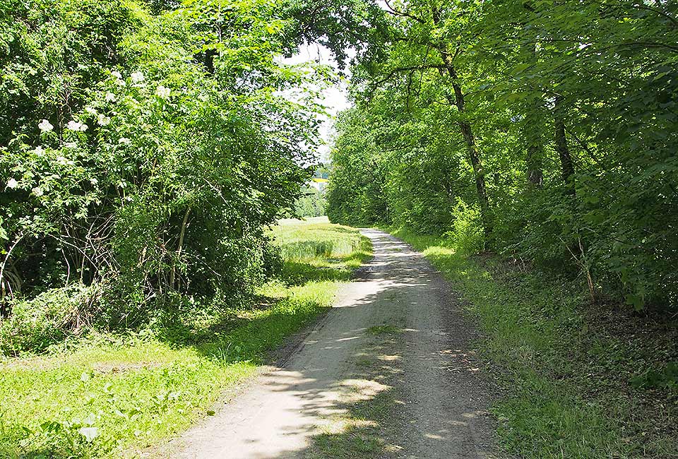 Radweg an der Wutach