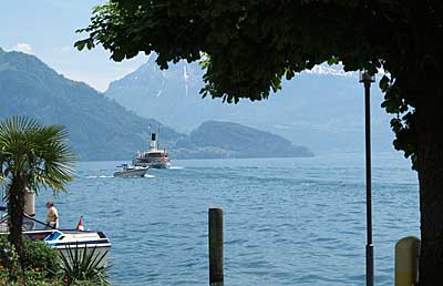 Weggis: Blick auf den See