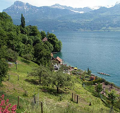 Fast subtropisch: Herrlicher Ausblick auf den Bürgenstock