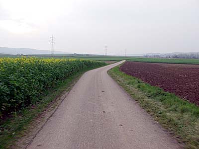 Radweg bei Güglingen