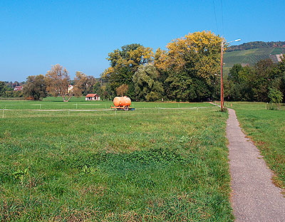 Wiesenweg zum Mettertal