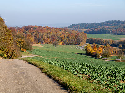 Blick zurück ins Walzbachtal