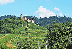 Burg der Grafen Staufen