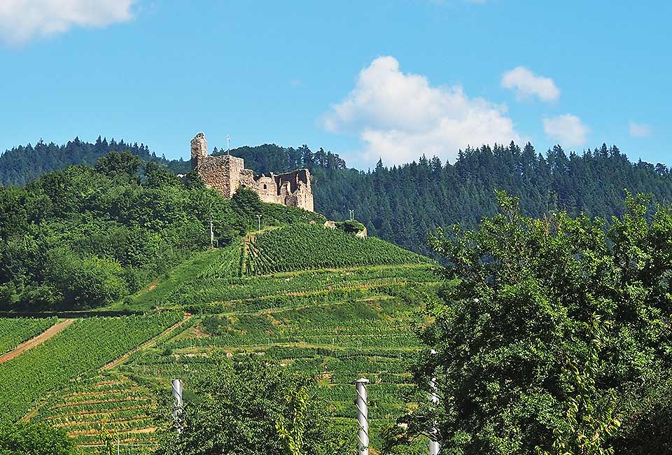 Burg der Grafen Staufen