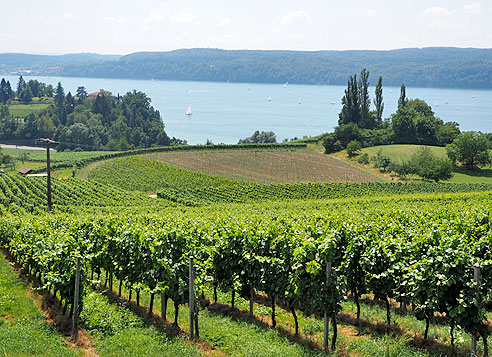 Aussichtstour am Bodensee