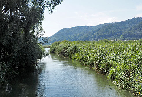 Aussichtstour am Bodensee