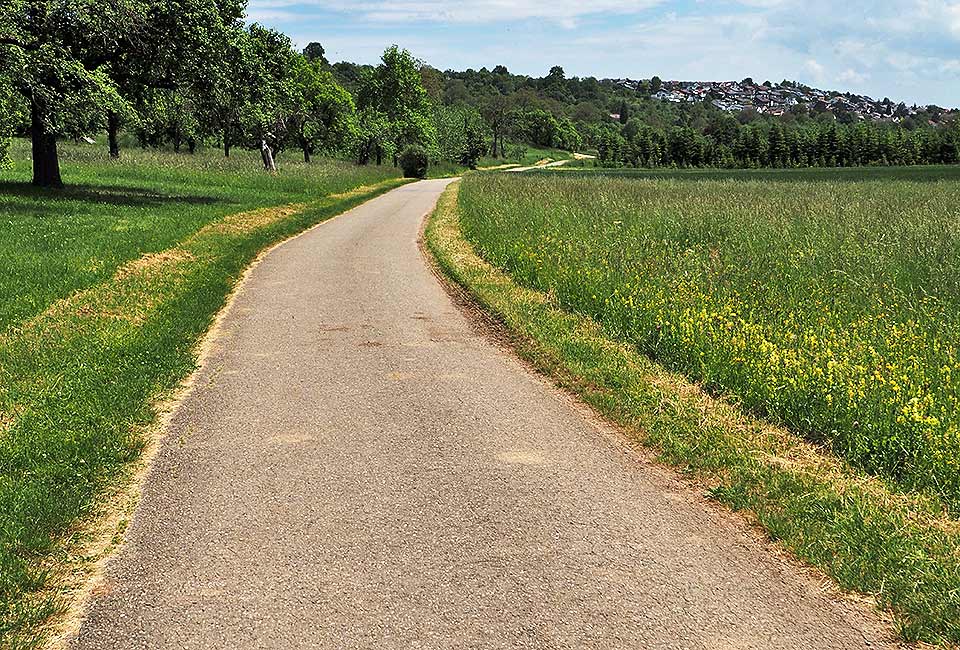 Der Brenztalradweg führt von Königsbronn bis zur Donau