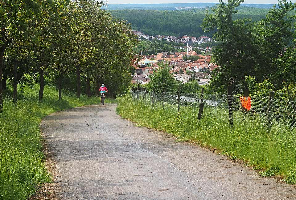 Der Brenztalradweg führt von Königsbronn bis zur Donau