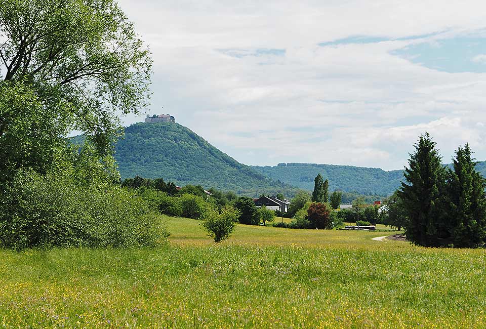 Der Brenztalradweg führt von Königsbronn bis zur Donau