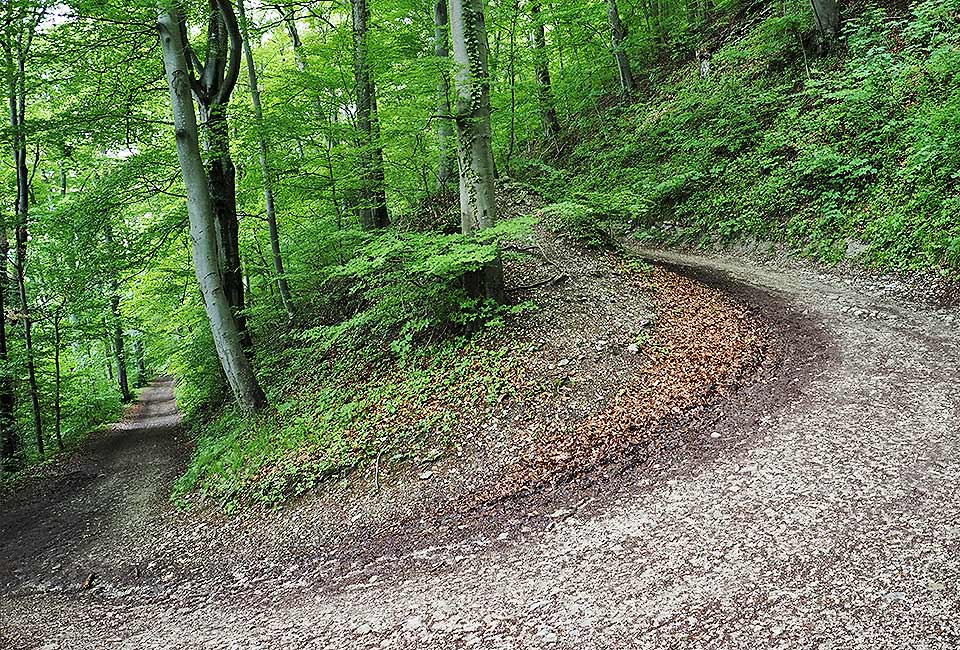 Der Brenztalradweg führt von Königsbronn bis zur Donau