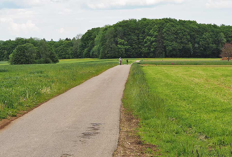 Der Brenztalradweg führt von Königsbronn bis zur Donau