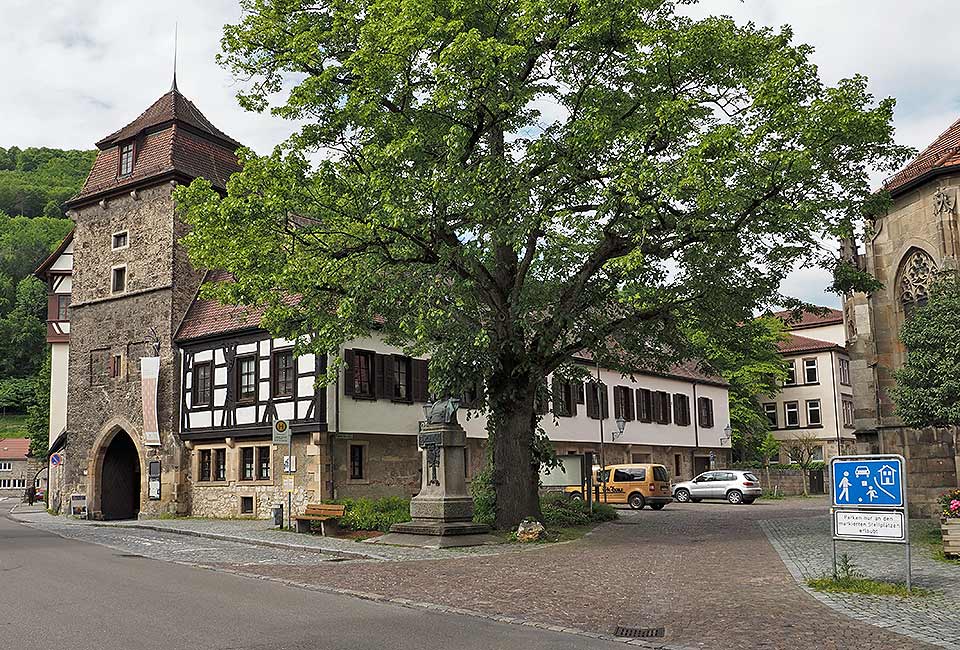 Der Brenztalradweg führt von Königsbronn bis zur Donau