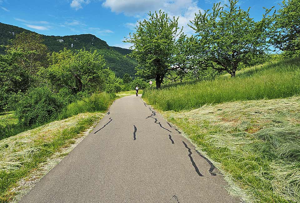 Der Brenztalradweg führt von Königsbronn bis zur Donau