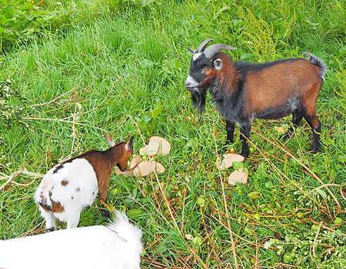 Werra und Fuldaradweg