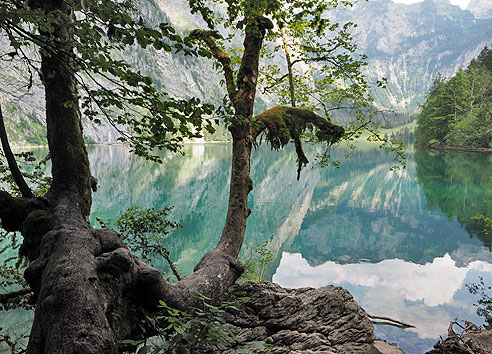 Ein Tag am Königssee