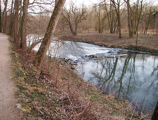 Die Mündung der Brenz in die Donau bei Lauingen