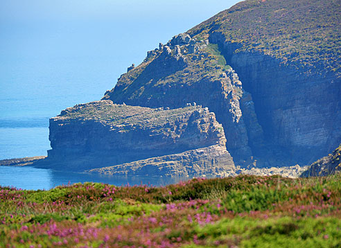 Radtouren in der Bretagne