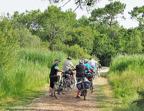 Radtouren in der Bretagne