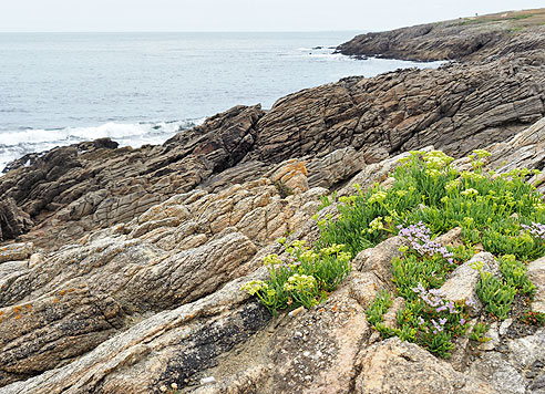 Radtouren in der Bretagne