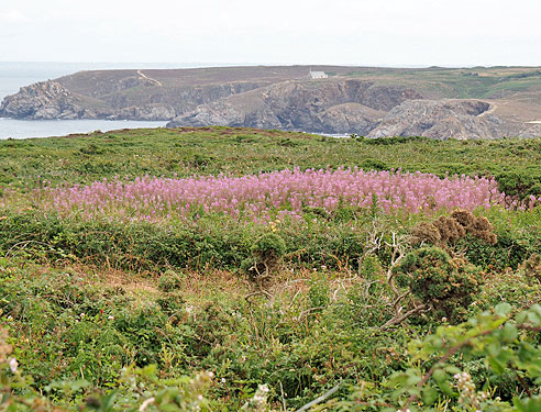 Radtouren in der Bretagne