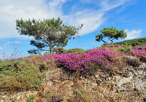 Radtouren in der Bretagne