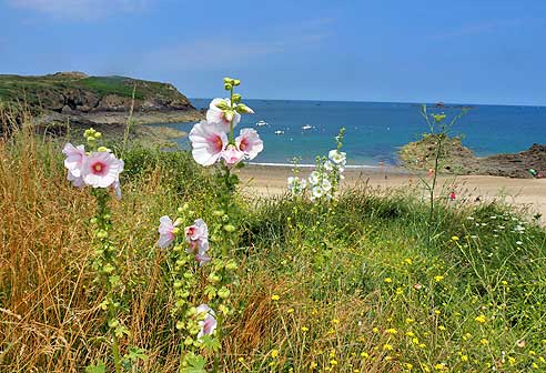 Radtouren in der Bretagne