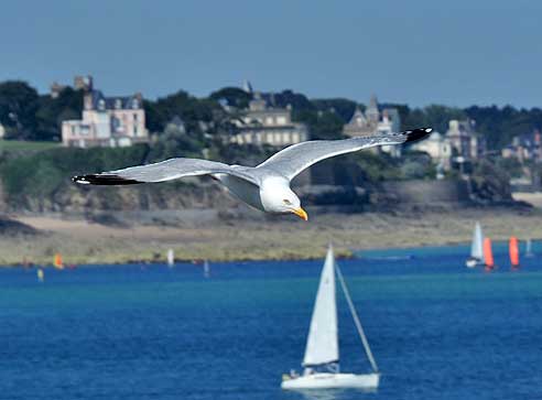 Radtouren in der Bretagne