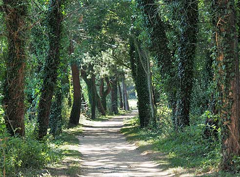 Radtouren in der Bretagne