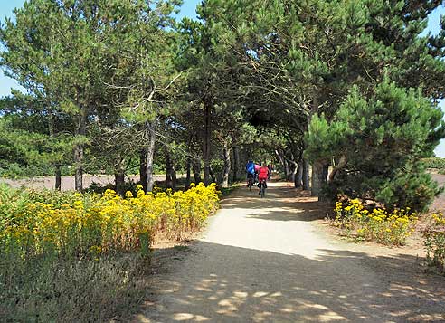 Radtouren in der Bretagne