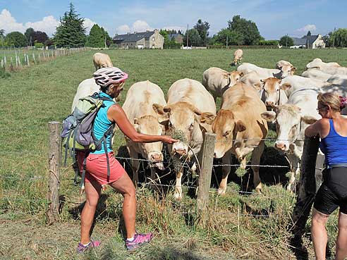 Radtouren in der Bretagne