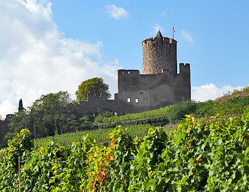 Radrunde Elsass um Colmar, Bergheim, Ribeauville, Riquewihr, Kaysersberg