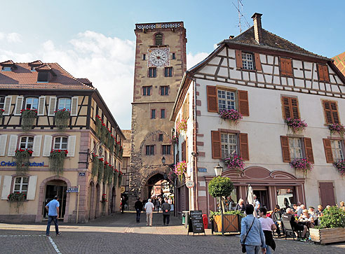 Radrunde Elsass um Colmar, Bergheim, Ribeauville, Riquewihr, Kaysersberg