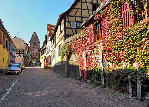 Radrunde Elsass um Colmar, Bergheim, Ribeauville, Riquewihr, Kaysersberg