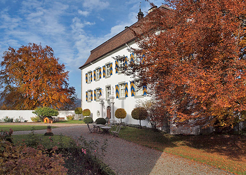 Schloss in Mühlheim