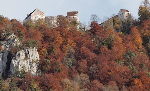 Burg Wildenstein