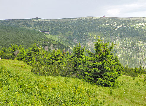 Von der Elbequelle bis Hostinne