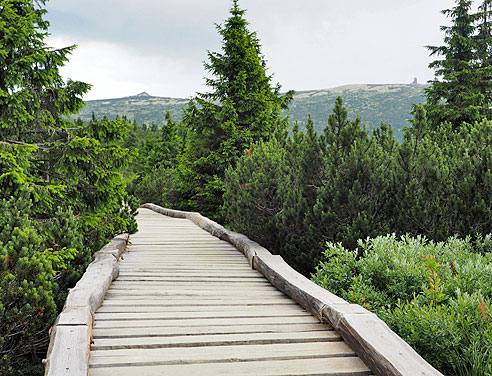 Von der Elbequelle bis Hostinne